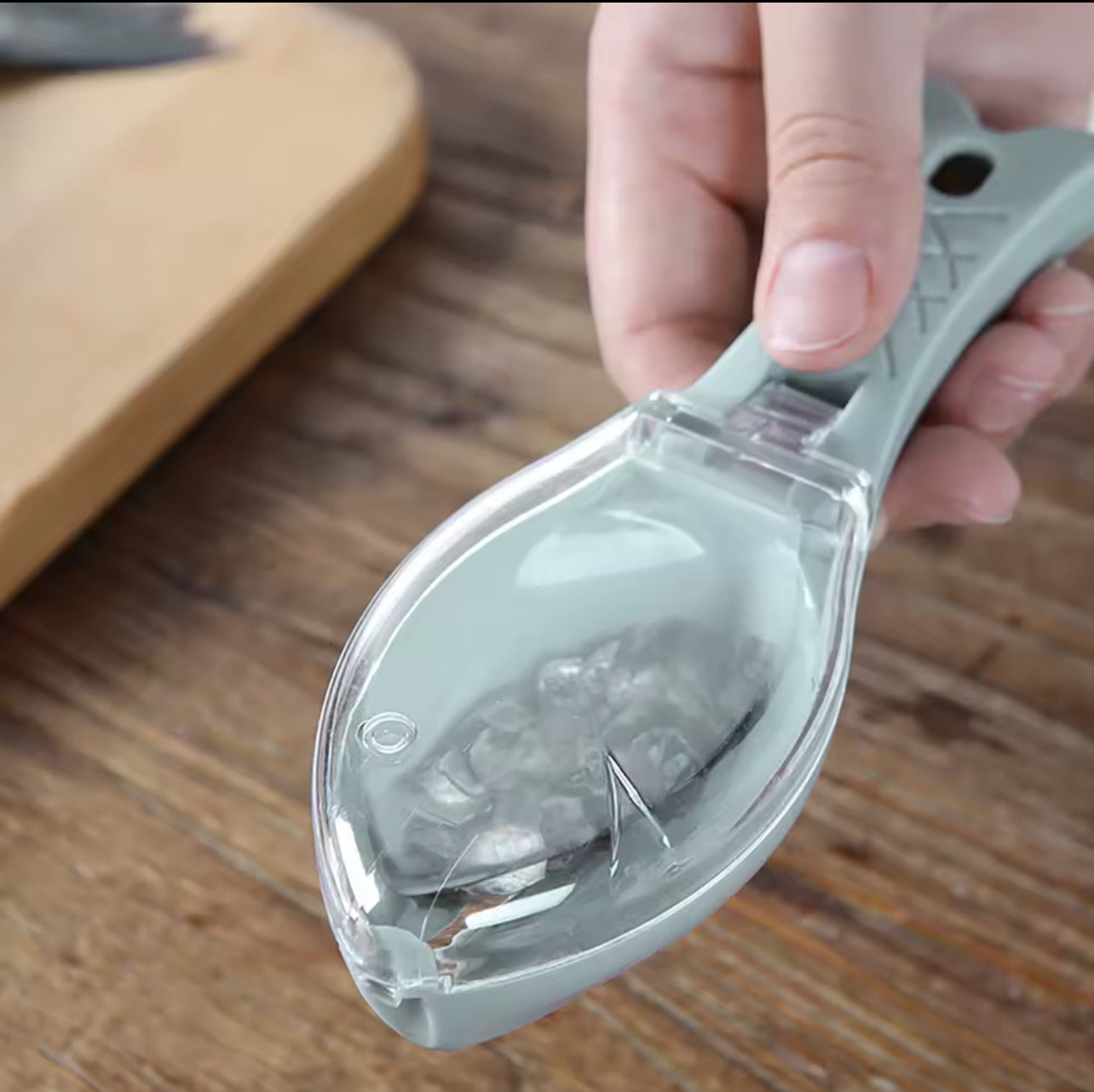Plastic Fish Scaler